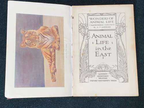 ANIMAL LIFE IN THE EAST CIRCA 1930`S