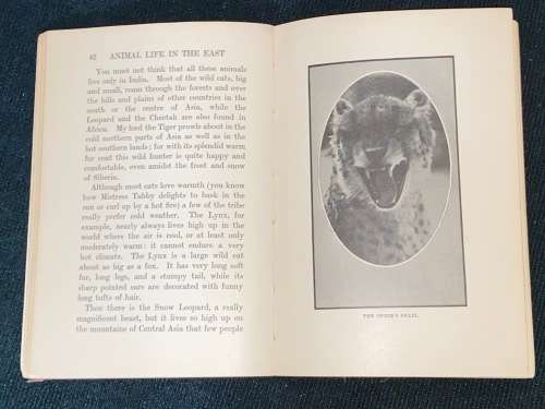 ANIMAL LIFE IN THE EAST CIRCA 1930`S