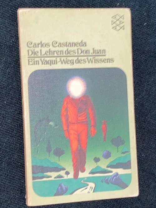 DIE LEHREN DES DON JUAN EIN TAQUI-WEG DES WISSENS - CARLOS CASTANEDA