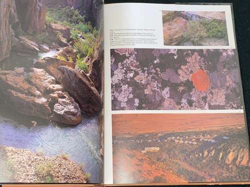 BUSHVELD COUNTRY THE DRAMATIC EASTERN TRANSVAAL BY DAVID STEELE