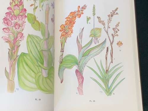 FLOWERING PLANTS OF THE SOUTHERN CAPE BY PAULINE BOHNEN LIMITED EDITION SIGNED
