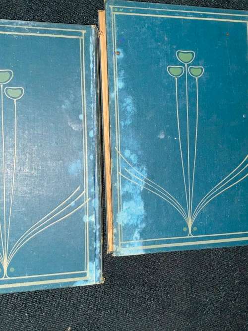 THE BOOK OF THE HOME A PRACTICAL GUIDE TO HOUSEHOLD MANAGEMENT BY H.C. DAVIDSON 1905