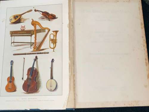 THE BOOK OF THE HOME A PRACTICAL GUIDE TO HOUSEHOLD MANAGEMENT BY H.C. DAVIDSON 1905