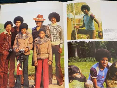 THE MICHAEL JACKSON ALBUM 1984 SA PUBLICATION