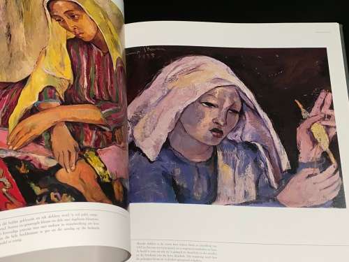 IRMA STERN N` FEES VAN KLEUR DEUR MARION ARNOLD