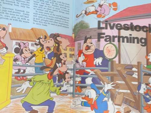 WALT DISNEY`S HOW IT WORKS IN THE COUNTRY