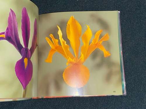 THE AGILE RABBIT PICTURE ATLAS OF FLOWERS