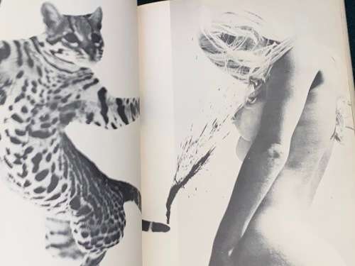 EVERGREEN REVIEW READER VOLUME II 1962-1967