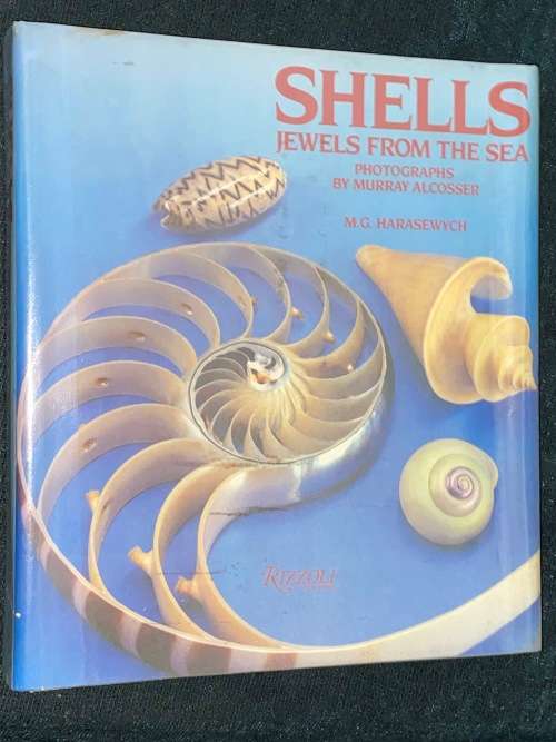 SHELLS JEWELS FROM THE SEA