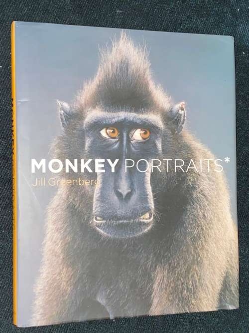 MONKEY PORTRAITS BY JILL GREENBERG