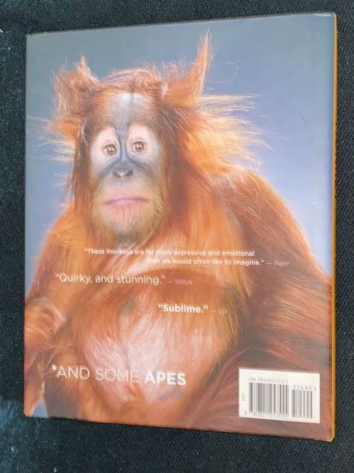 MONKEY PORTRAITS BY JILL GREENBERG
