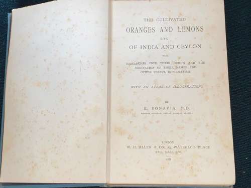 THE CULTIVATED ORANGES AND LEMONS ETC OF INDIA AND CEYLON BY E. BONAVIA  1888