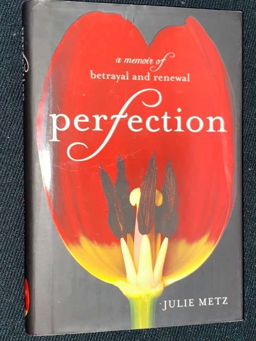 PERFECTION A MEMOIR OF BETRAYAL AND RENEWAL BY JULIE METZ