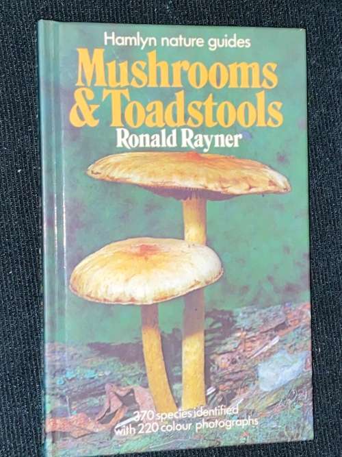 MUSHROOMS & TOADSTOOLS BY RONALD RAYNER - HAMLYN NATURE GUIDES