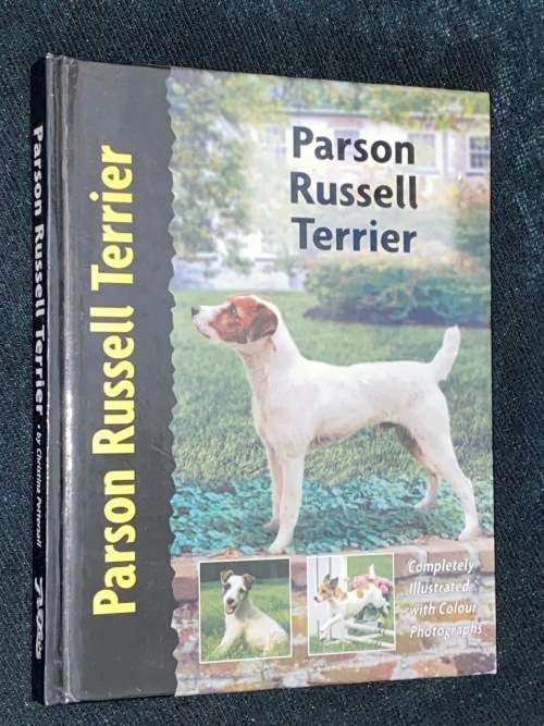 PARSON RUSSELL TERRIER