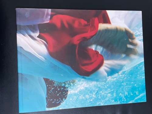FLOAT BY BERNI SEARLE STANDARD BANK YOUNG ARTIST 2003