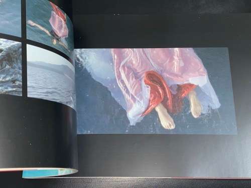 FLOAT BY BERNI SEARLE STANDARD BANK YOUNG ARTIST 2003
