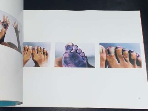 FLOAT BY BERNI SEARLE STANDARD BANK YOUNG ARTIST 2003