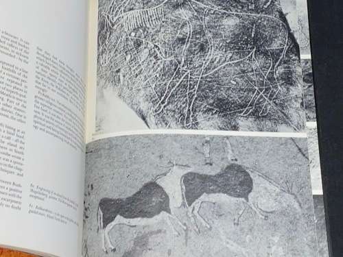 THE BUSHMEN ART OF SOUTHERN AFRICA BY BERT WOODHOUSE
