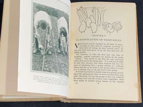 THE VEGETABLE GARDEN BY W.E. SHEWELL-COOPER VINTAGE EDITION