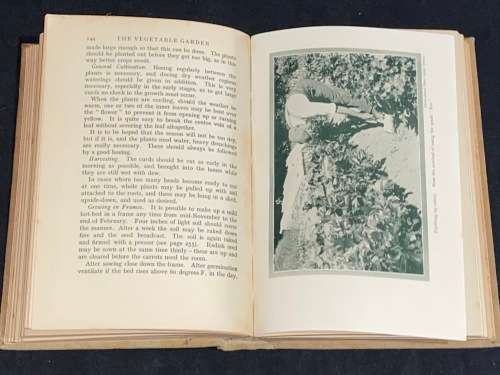 THE VEGETABLE GARDEN BY W.E. SHEWELL-COOPER VINTAGE EDITION