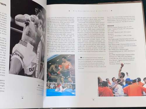 THE BOXING COMPANION AN ILLUSTRATED GUIDE TO THE SWEER SCIENCE BY RICHARD O`BRIEN