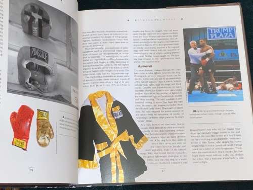 THE BOXING COMPANION AN ILLUSTRATED GUIDE TO THE SWEER SCIENCE BY RICHARD O`BRIEN