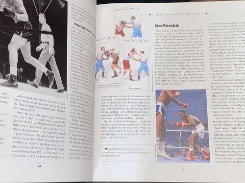 THE BOXING COMPANION AN ILLUSTRATED GUIDE TO THE SWEER SCIENCE BY RICHARD O`BRIEN