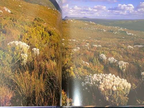 TABLE MOUNTAIN TO CAPE POINT BY CARRIE HAMPTON & ANDREW MCILLERON SIGNED