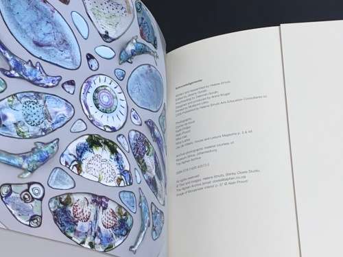 SHIRLEY CLOETE A LIFE REFLECTED IN GLASS