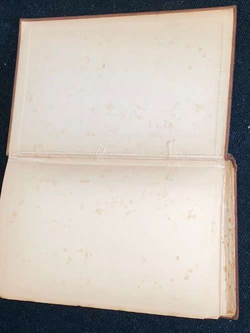 VENGENCE AS A POLICY IN AFRIKANDERLAND BY FRANCIS J DORMER 1901