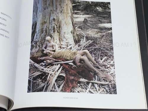WHO AM I? TRANSGRESSIONS BY GORDON CLARK AND LEON BOTHA JANUARY 2010