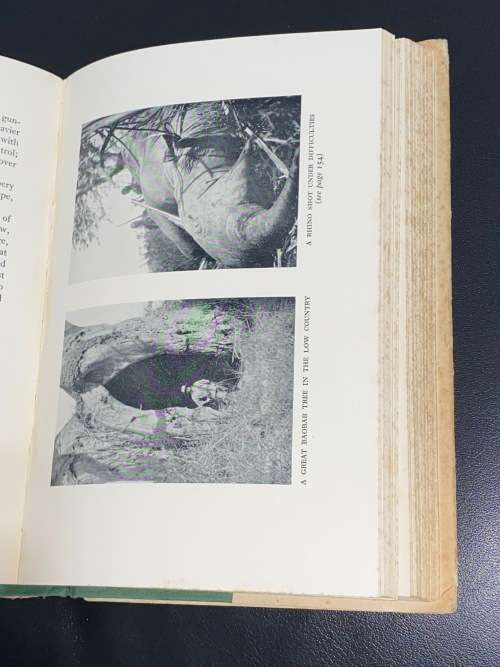 BIG GAME HUNTING AND ADVENTURE 1897-1936 BY MARCUS DALY 1ST EDITION