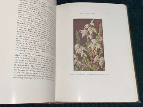 A SECOND BOOK OF SOUTH AFRICAN FLOWERS