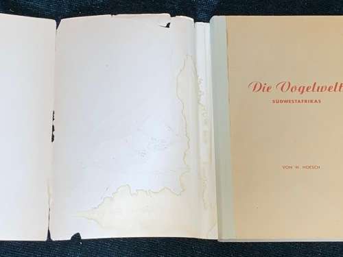 DIE VOGELWELT SUDWESTAFRIKAS - W. HOESCH