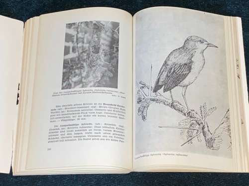 DIE VOGELWELT SUDWESTAFRIKAS - W. HOESCH
