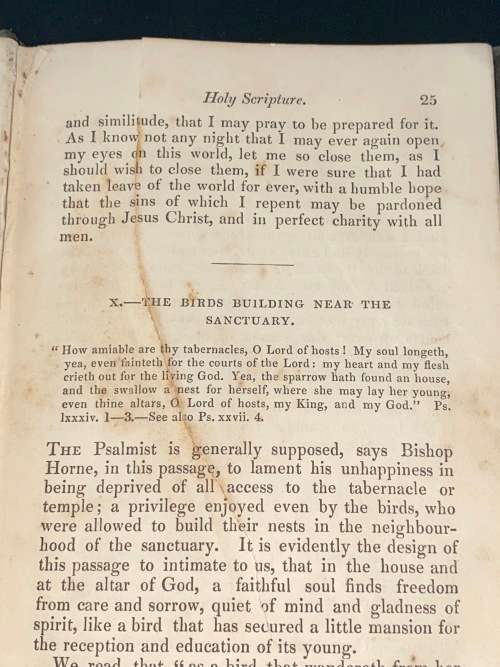 SIMILITUDES USED IN HOLY SCRIPTURE BY THE RIGHT REV. W.J. TROWER 1848