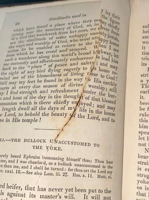 SIMILITUDES USED IN HOLY SCRIPTURE BY THE RIGHT REV. W.J. TROWER 1848