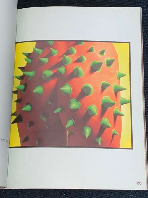 TWINCHEEKS BY ANNE TILBY