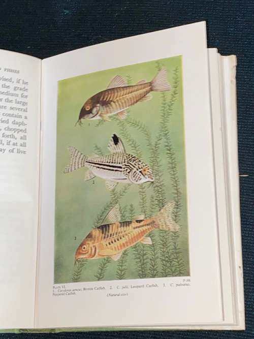 TROPICAL AQUARIUMS, PLANTS & FISHES BY LAURENCE WELLS