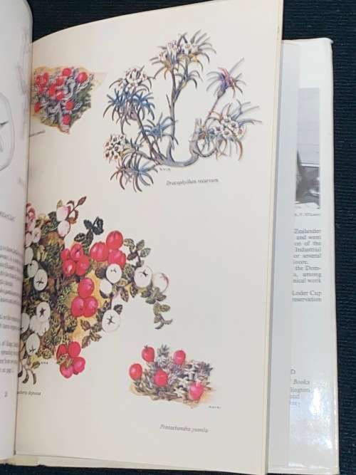 MOUNTAIN FLOWERS OF NEW ZEALAND BY NANCY M. ADAMS