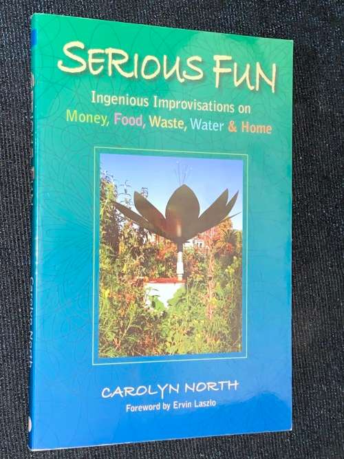 SERIOUS FUN INGENIOUS IMPROVISATIONS ON MONEY, FOOD, WASTE, WATER AND HOME BY CAROLYN NORTH