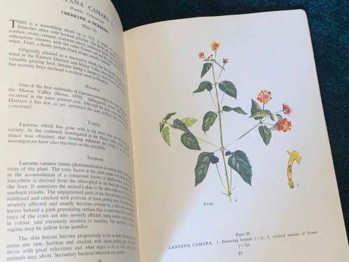 POISONOUS PLANTS OF RHODESIA BY D.K. SHONE AND R.B. DRUMMOND