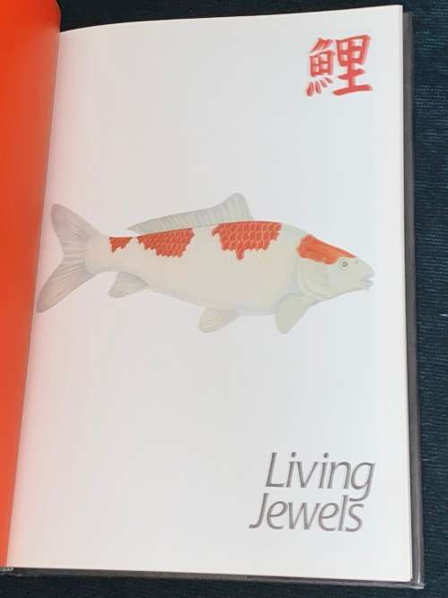 LIVING JEWELS KOI KEEPING IN SOUTH AFRICA BY RONNIE WATT AND SERVAAS DE KOCK