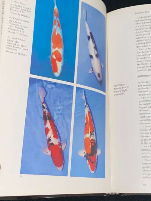 LIVING JEWELS KOI KEEPING IN SOUTH AFRICA BY RONNIE WATT AND SERVAAS DE KOCK