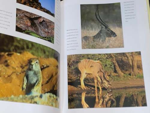 SOUTH AFRICA A WONDERFUL LAND BY WILFRED NUSSEY