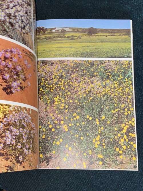NAMAQUALAND IN FLOWER BY SIMA ELIOVSON SIGNED