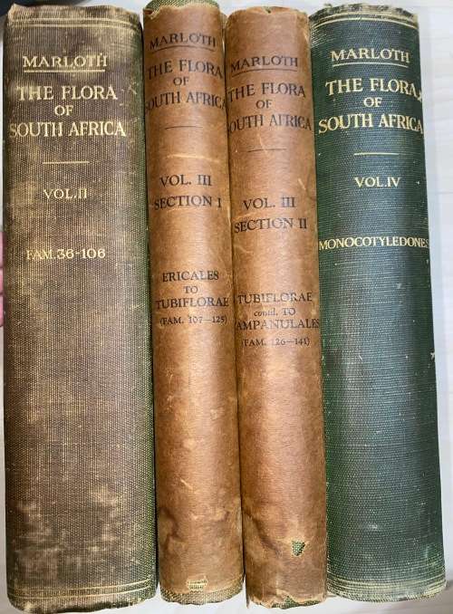 THE FLORA OF SOUTH AFRICA BY RUDOLF MARLOTH 4 VOLUMES