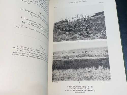 THE FLORA OF SOUTH AFRICA BY RUDOLF MARLOTH 4 VOLUMES