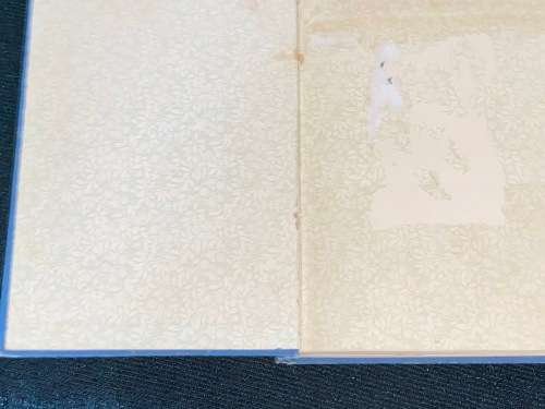 JACK AND HIS OSTRICH A STORY OF SOUTH AFRICA BY E. STREDDER 1900